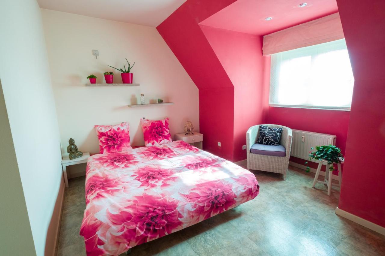 Shamballa B & B/ Logies Deinze Dış mekan fotoğraf
